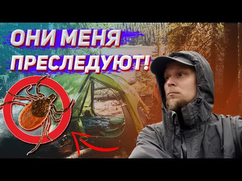 Видео: ПРИШЛОСЬ ЗАКОНЧИТЬ ПОХОД! ПОХОД ПО ЛАТВИИ НА ДВЕ НЕДЕЛИ. часть 9