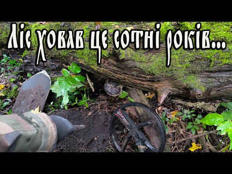 Видео: Таємниця старого лісу — знахідка з минулого!