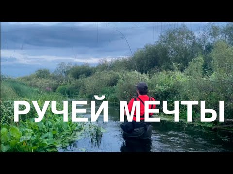 Видео: ТЕНКАРА x НАШЕЛ НОВЫЙ РУЧЕЙ #104