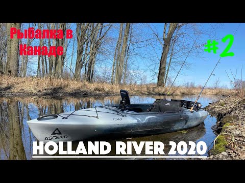 Видео: Fishing Kayak Holland river!!! Рыбалка на Каяке, Нерест Щуки #outdoors