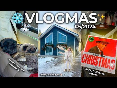 Видео: VLOGMAS 2024☃️*5 Рабочие и ДОМАШНИЕ будни декабря, ПРЕДновогодняя суета и много работы