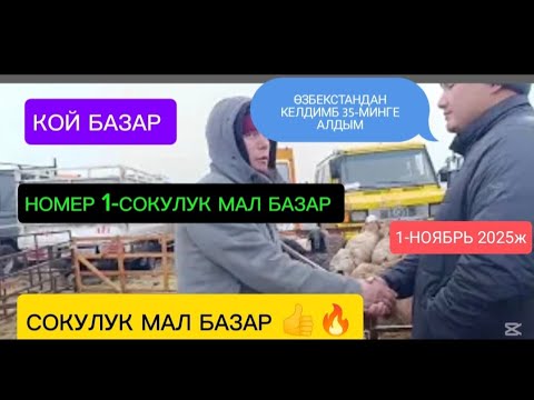 Видео: КОЙ БАЗАР СОКУЛУК МАЛ БАЗАР 1-НОЯБРЬ 2025Ж ӨЗБЕКСТАН АЧЫЛДЫ ДЕЙТКО 