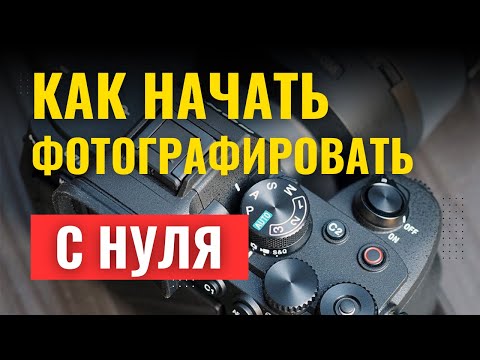 Видео: Как Стать Фотографом и Начать Зарабатывать: Пошаговый План для Новичков | 7 шагов