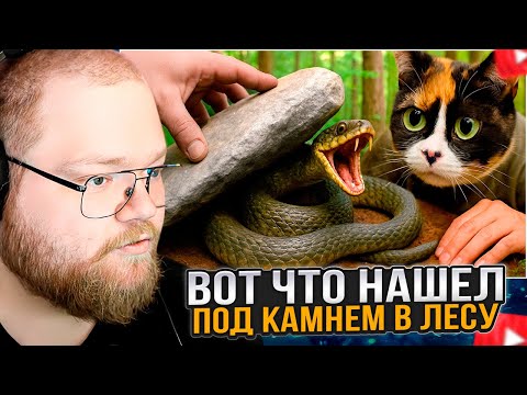 Видео: T2x2 СМОТРИТ: Я ПЕРЕВЕРНУЛ 100 КАМНЕЙ В ЛЕСУ, И ВОТ ЧТО ПОД НИМИ НАШЕЛ..