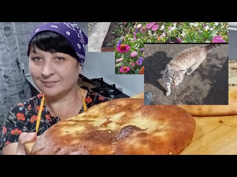 Видео:  Лепешки в духовке с начинкой 📌 Поработала в огороде 🍓 Влог