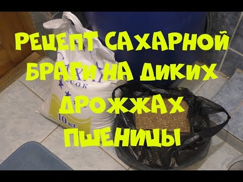 Видео: Рецепт сахарной браги на диких дрожжах пшеницы