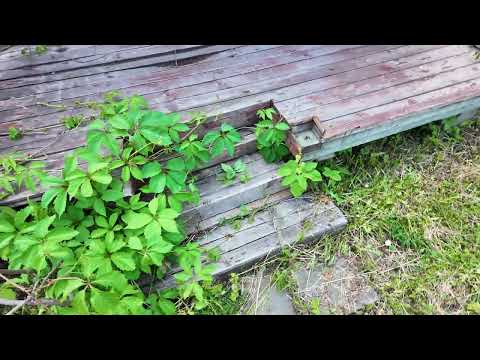 Видео: Продаем дачу/участок в Подмосковье, снт Фрязево, 8 соток, пешком до ж/д станции. Цена за участок.