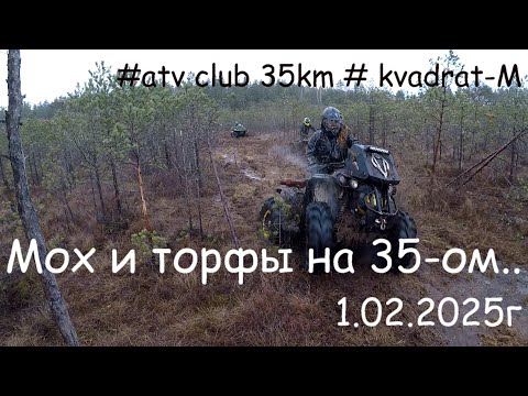 Видео: Мох и торфы на 35-ом. 1.02.2025г. Квадрат-М