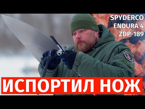 Видео: Не покупайте для туризма 🔪 Spyderco Endura 4 | ZDP-189 | Любительский обзор отличного ножа