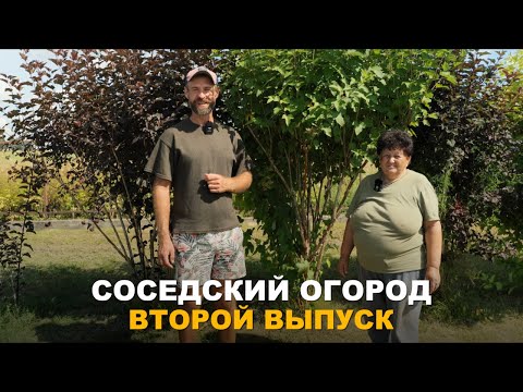 Видео: СОСЕДСКИЙ ОГОРОД. Что и как растет. Стационарные грядки.