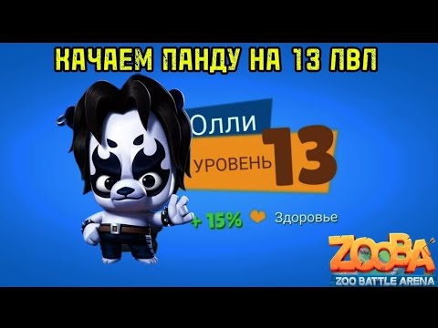 Видео: Качаем нашу панду на тринадцатый уровень и пушим кубки. Панда снова в игре и уничтожает всех!!!