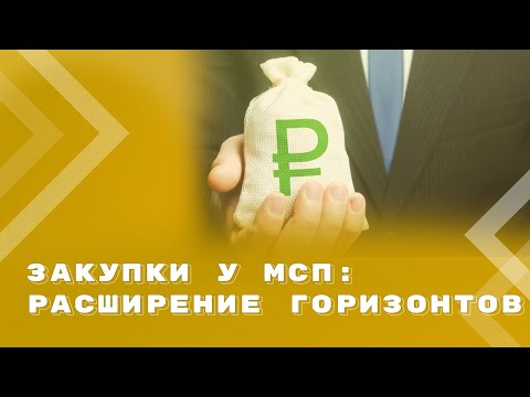 Видео: Закупки у МСП по Закону N 223-ФЗ: Минфин говорит о расширении возможностей заказчика