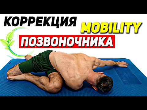 Видео: 1️⃣MOBILITY для ПОЗВОНОЧНИКА / СНИМИ НАГРУЗКУ СО СПИНЫ / ДЕЛАЙ ЭТО ПОСЛЕ ТРУДОВОГО ДНЯ.
