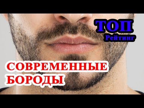 Видео: ТОП 8 современных мужских бород. Какую бороду все же носить?