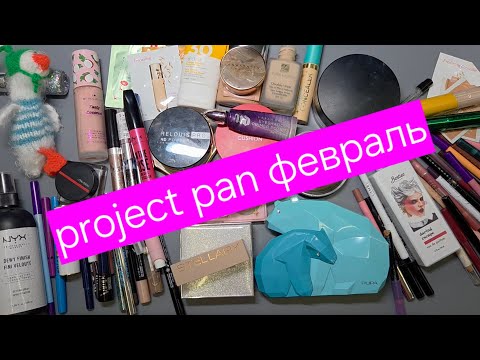 Видео: Project pan февраль 2025