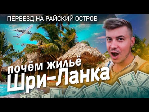 Видео: Цены на Шри-Ланке / Жильё от бюджетного до роскошного #путешествие #шриланка