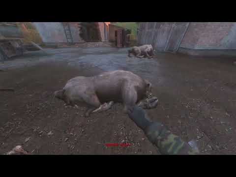 Видео: NLC - Improved (мастер)#76🐜