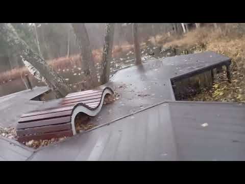 Видео: Сосновый бор в приморский парк