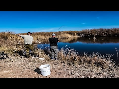 Видео: Спонтанная рыбалка всегда даёт результат. Полный RELAX со спиннингом. Fishing RELAXATION