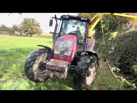 Видео: Давайте подстрижем живую изгородь! Мой метод стрижки живой изгороди…