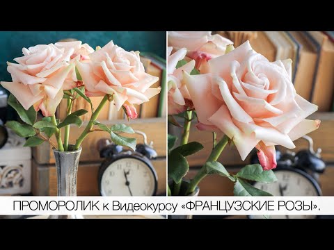 Видео: Проморолик к Видеокурсу «ФРАНЦУЗСКИЕ РОЗЫ». Автор: tanyaflower.ru