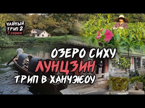 Видео: Лунцзин / Колодец Дракона. Зеленый чай  с озера Сиху, трип в Ханчжоу.