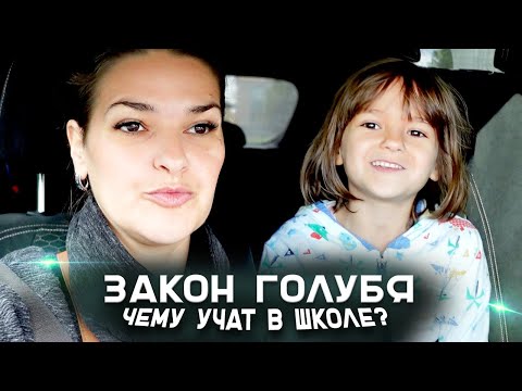 Видео: Закон голубя. Чему учат в школе? Виктория Райдос