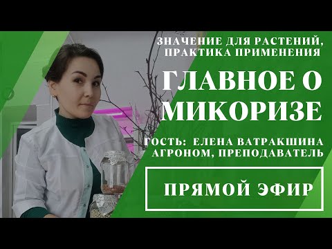 Видео: Прямой эфир «Главное о микоризе» // 30.04.2024