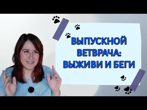 Видео: УЧЕБА ДО ПОТЕРИ СОЗНАНИЯ