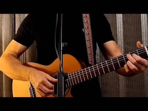 Видео: МОЙ ДРУГ ХУДОЖНИК И ПОЭТ  К.Никольский cover