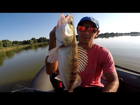 Видео: Вискочили з СОЛОМОЮ на вечірнього СУДАКА, Рибалка на 3 години, Судак на мандулу