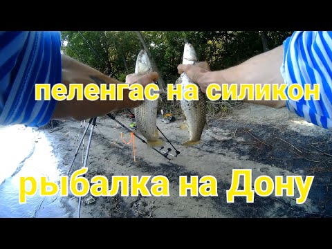 Видео: Дон дает!💪пеленгас на силикон!🤘😁
