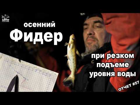 Видео: Ловля на фидер при резком подъеме уровня воды.Рыбалка на Кубани.