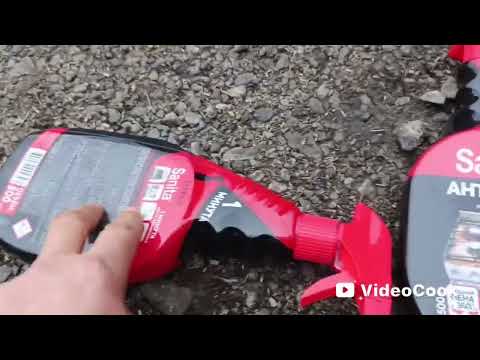 Видео: 13 ноября 2025 г.