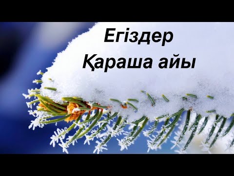 Видео: Егіздер 2024 жылдың Қараша айына арналған Таро жорамалы