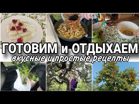 Видео: ✅БЫСТРЫЕ РЕЦЕПТЫ НА РАБОЧУЮ НЕДЕЛЮ 🥒🥕ПИРОГ С СЕКРЕТОМ🥧 У НАС ПОПОЛНЕНИЕ🏡НАШЛИ ЗАБРОШЕННЫЙ САД🧺🍎