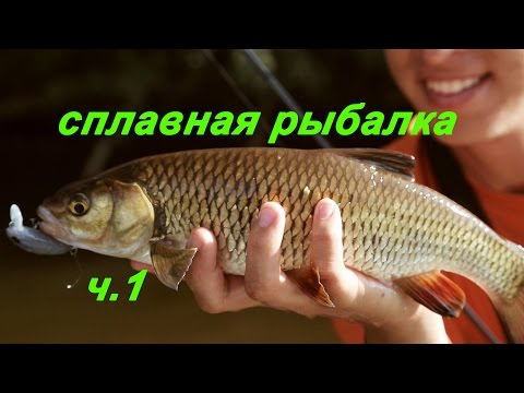 Видео: Drift fishing - сплавная рыбалка часть 1. Река Мста.