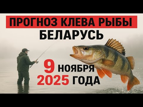 Видео: ПРОГНОЗ КЛЁВА в БЕЛАРУСИ на 9 ноября 2025 года. Бросай все и на рыбалку!