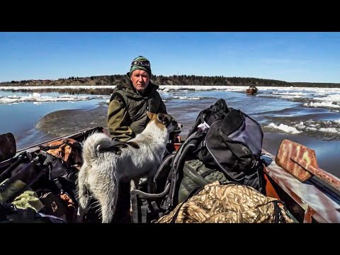Видео: От охоты до охоты. Часть 1 | С полем!