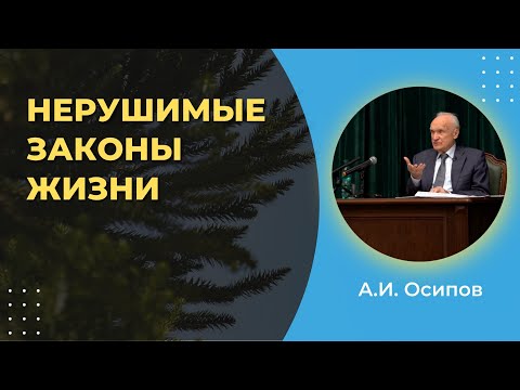 Видео: Нерушимые законы жизни