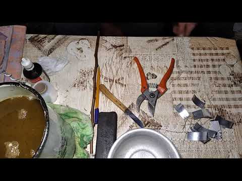 Видео: Зимове щеплення груші.