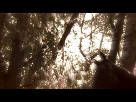 Видео: Клип | Колыбельная для принцессы | Люси Певенси и Сьюзен Певенси Чит.опис!