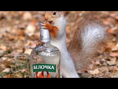 Видео: Белая горячка/Истории из жизни