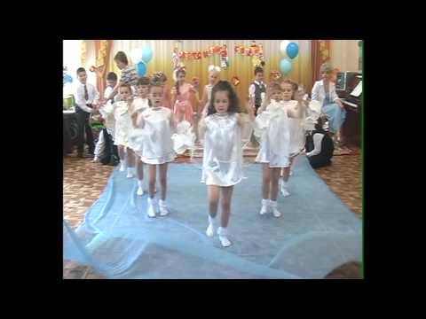 Видео: Птицы, мои птицы