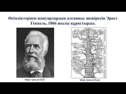 Видео: III - тоқсан, Биология, 10 сынып, Кладограммалар. Түсінік «Соңғы әмбебап жалпы ата тек»  Кладограмма