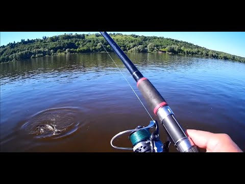 Видео: Ловля троллингом в июне 2022. В поисках хищника р. Ока