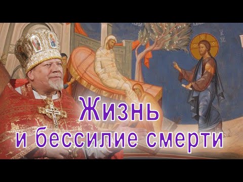 Видео: Жизнь и бессилие смерти. Проповедь священника Георгия Полякова