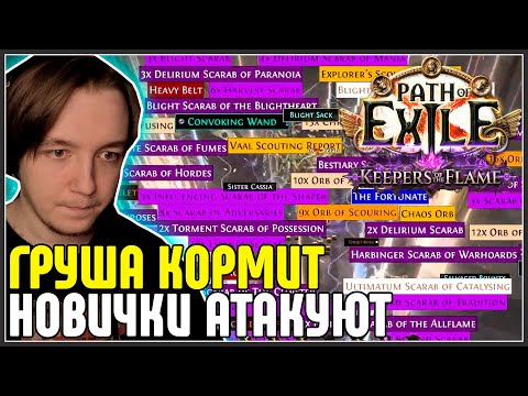 Видео: ГРУША КОРМИТ? НОВИЧКИ АТАКУЮТ ВОПРОСАМИ · Нарезка стрима ·  Path of Exile 3.27 Keepers of the Flame