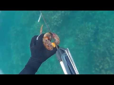 Видео: Подводная охота на Малом Утрише 2016