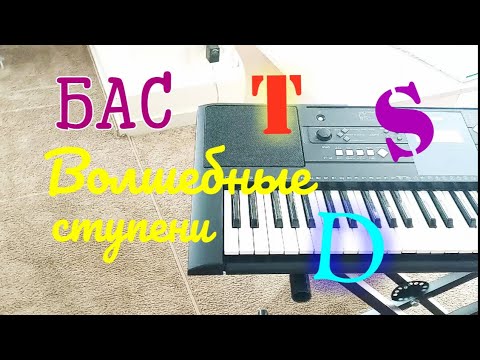 Видео: 2 серия. Подбор по слуху. Бас или Три волшебных ступени T S D / Музыкальная школа / Ноты Пилоты